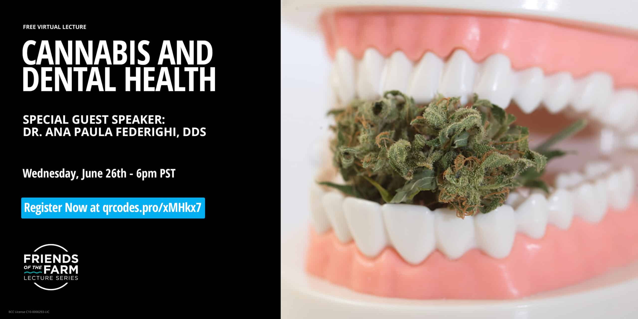 Natural Healing Center Cannabis Dispensaries San Luis Obispo Cannabis