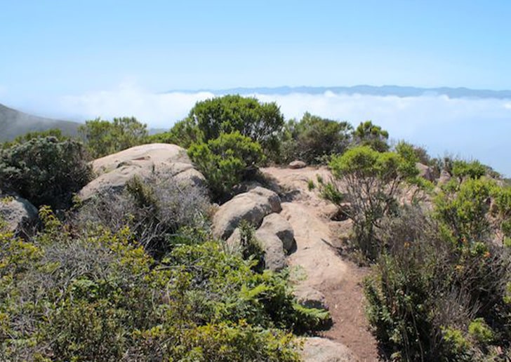 Black Hill
