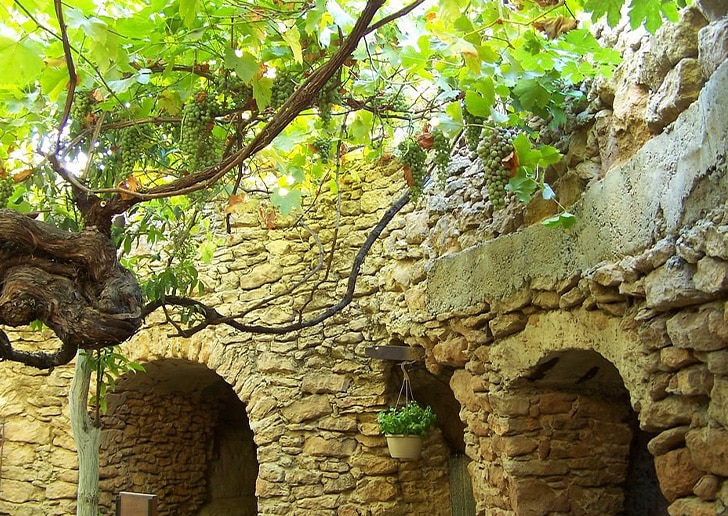 Forisetiere Forisetiere