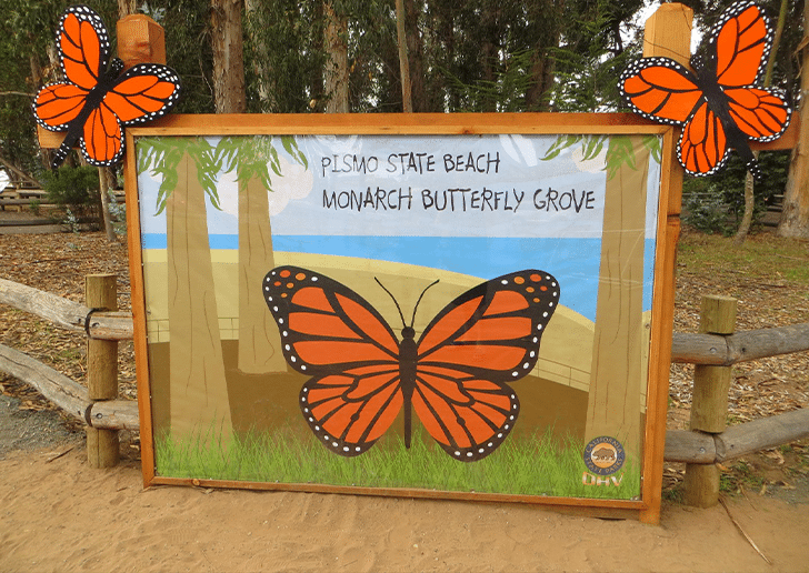 Monarch Monarch