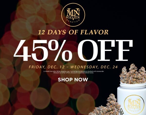 12 Days of Christmas with Maven