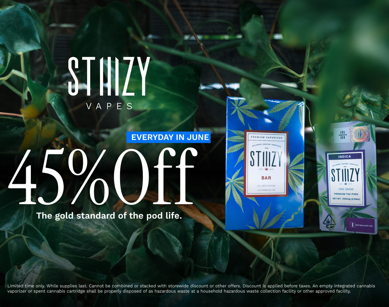 45% Off STIIIZY Vapes