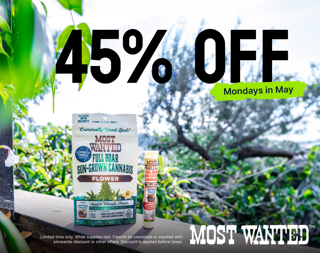 Most Wanted Monday