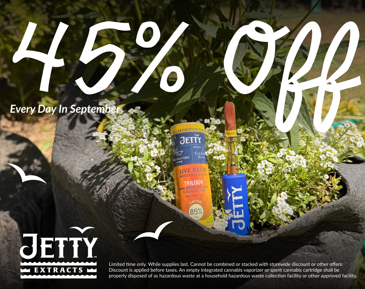 45% Off Jetty