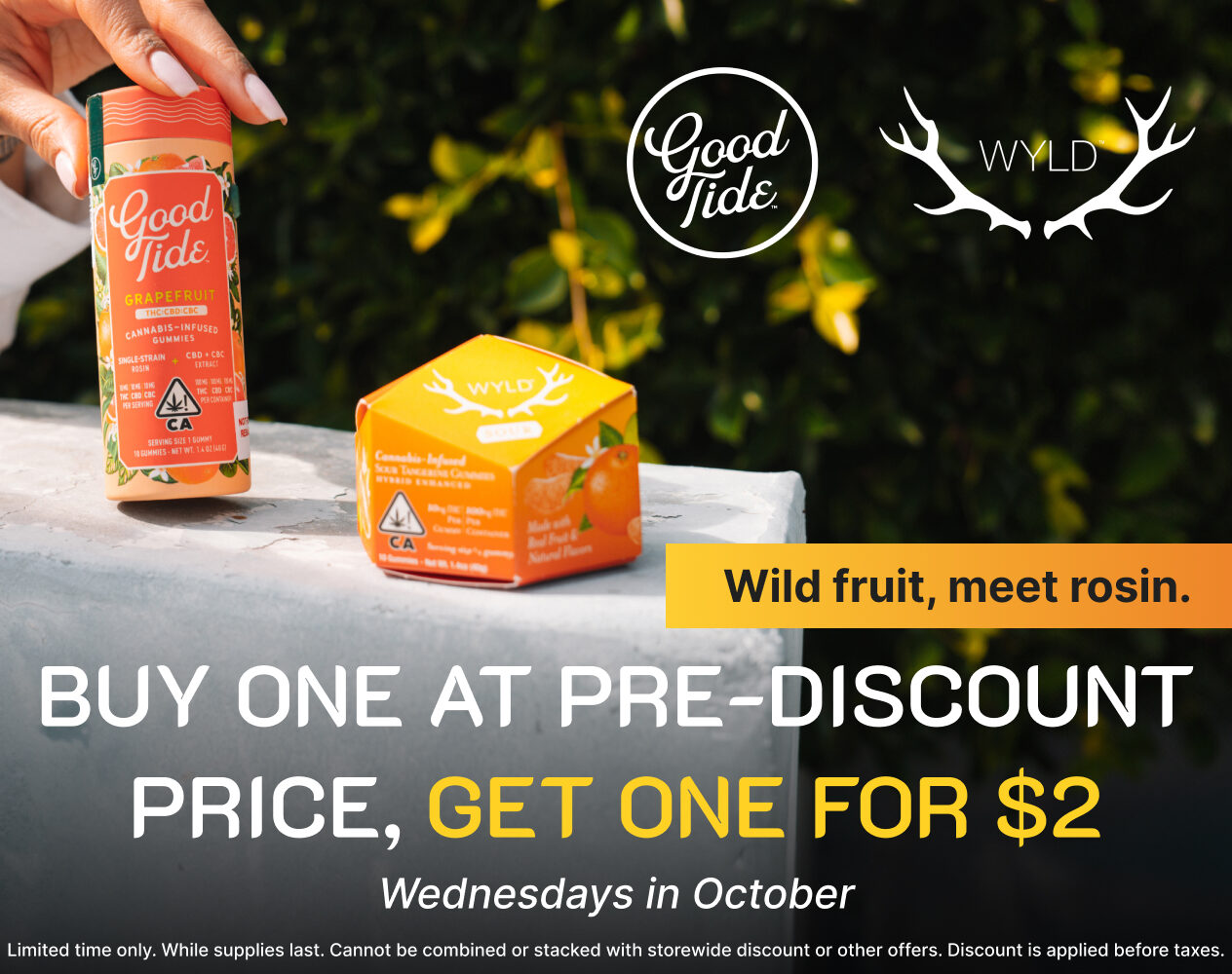 WYLD & Good Tide Wednesday