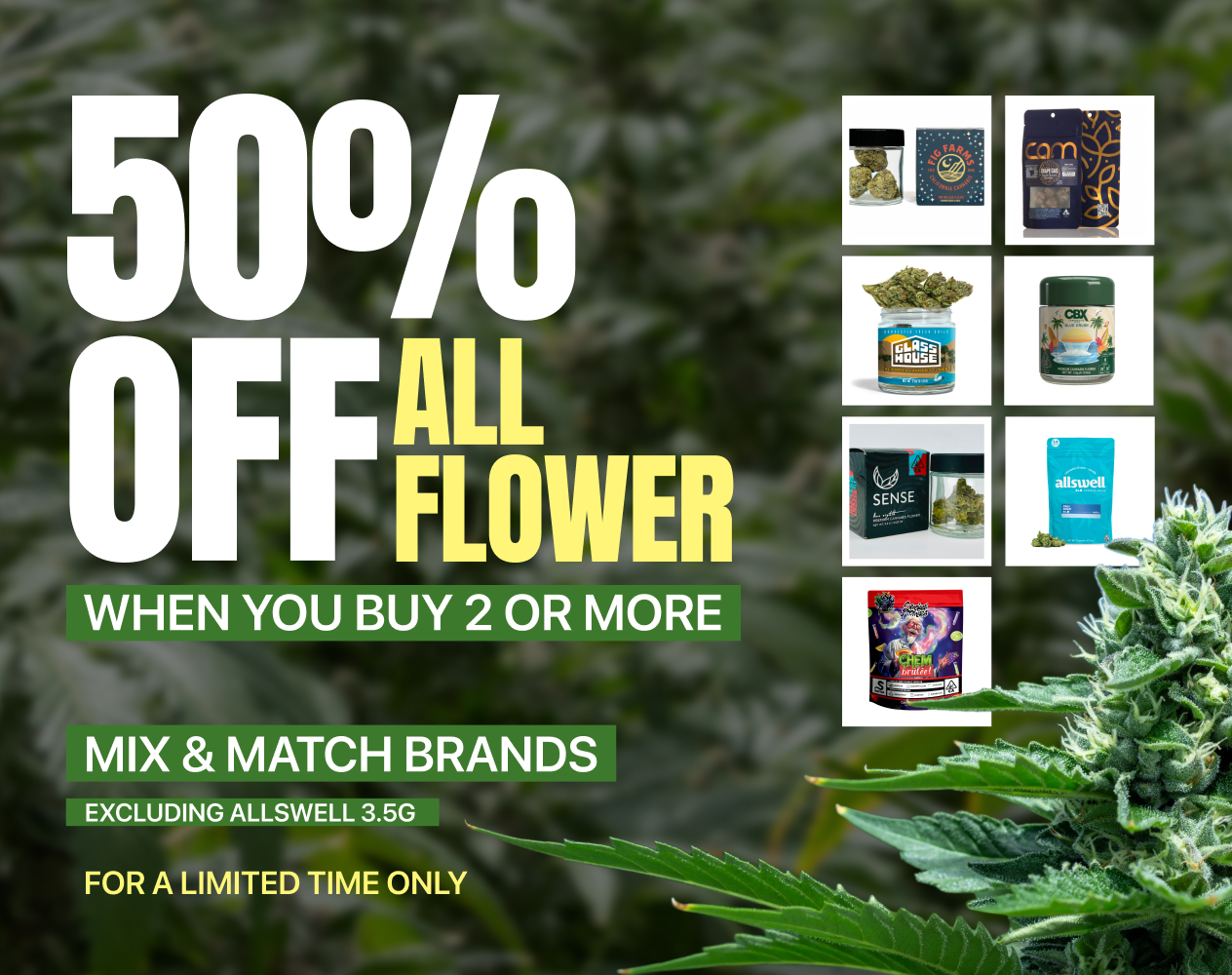 50% Off Flower